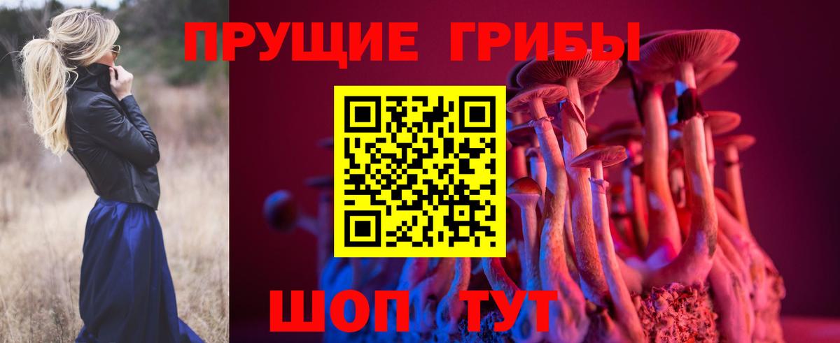 Меф кристаллы  Гашиш  Каннабис  A PVP СК   Минусинск  Экстази  ТГК  КОКАИН  Вход с VPN 